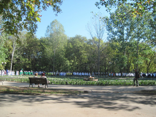 IMG_1809.jpeg